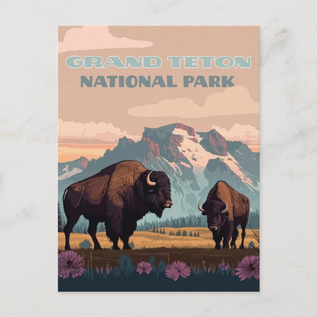 Grand Teton Nationalpark Jackson Wyoming Mountain Postkarte (Vorderseite)
