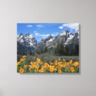 Grand Teton Nationalpark Leinwanddruck