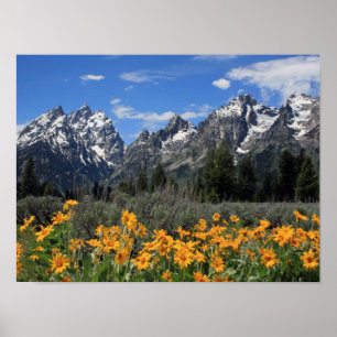 Grand Teton Nationalpark Poster