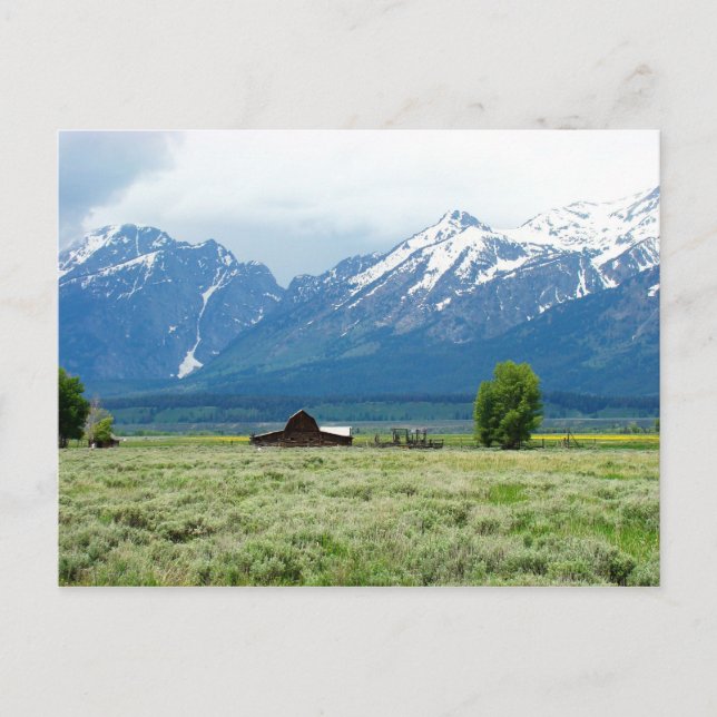 Grand Teton Nationalpark Postkarte (Vorderseite)