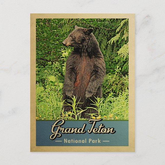 Grand Teton Nationalpark Vintag Bear Postkarte (Vorderseite)