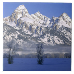 GRAND-TETON-NATIONALPARK, WYOMING. USA. Nebel & Fliese