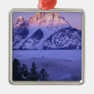 GRAND TETON NATIONALPARK, WYOMING. USA. Nebel & Silbernes Ornament