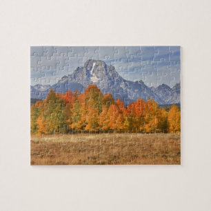 Grand Teton NP, Mount Moran und Espen
