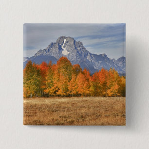 Grand Teton NP, Mount Moran und Espen Button
