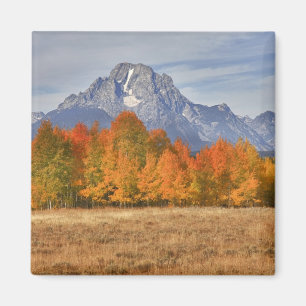 Grand Teton NP, Mount Moran und Espen Magnet