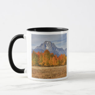 Grand Teton NP, Mount Moran und Espen Tasse