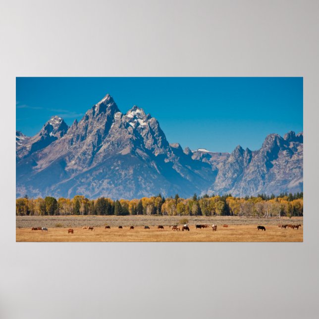 Grand Teton Poster (Vorne)