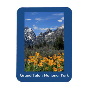 Grand Teton Springtime Souvenir Foto Magnet