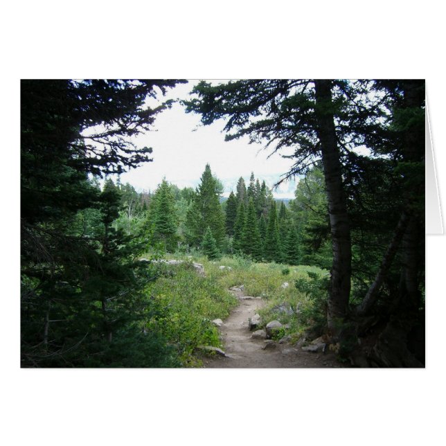 Grand Teton Trail (Vorderseite (Horizontal))