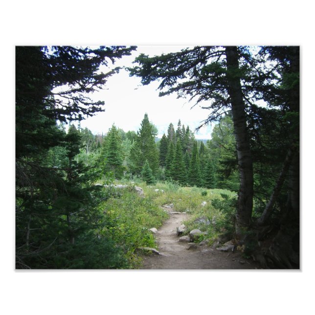 Grand Teton Trail Fotodruck (Vorne)