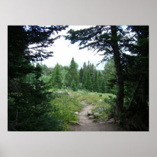 Grand Teton Trail Poster