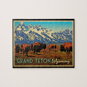 Grand Teton Wyoming Büffel