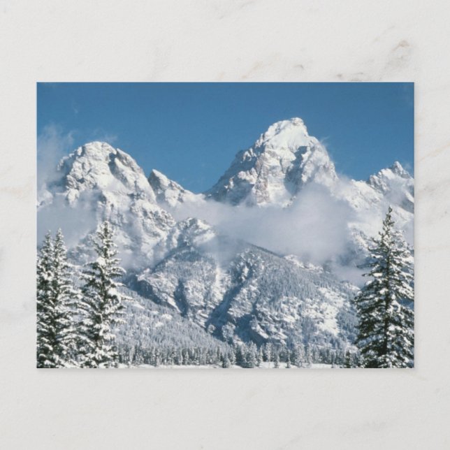 Grand Tetons im Winter Postkarte (Vorderseite)
