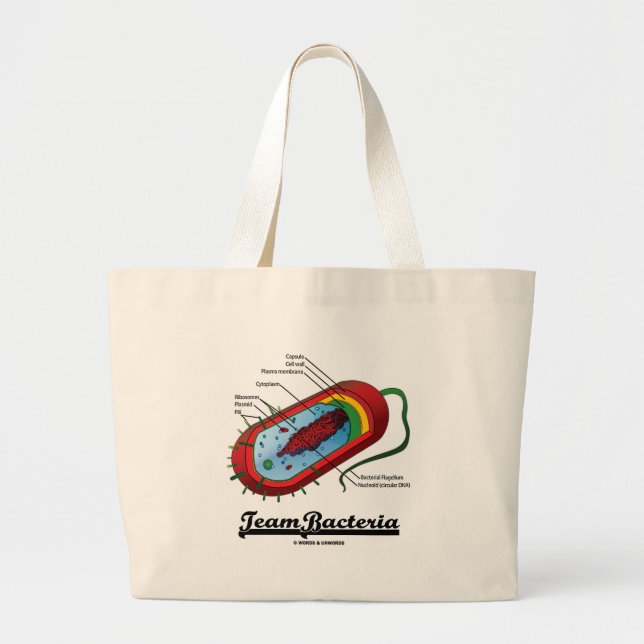 Grand Tote Bag Bactéries d'équipe (Prokaryote) (Devant)