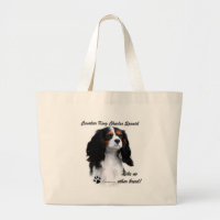 Cavalier Comme Aucune Autre race