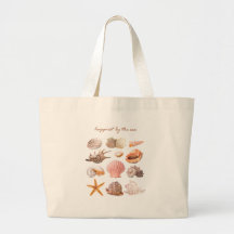 Coquillages de mer côtiers esthétique