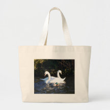 Deux cygnes et un canard