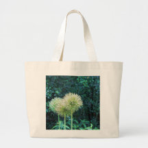 Images Allium Flowers