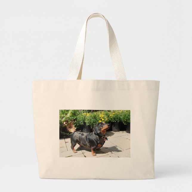 Grand Tote Bag L'argent tachettent l'ami 2 de teckel (Devant)