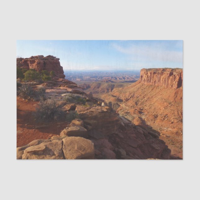 Grand View Point im Canyonlands National Park Seidenpapier (Vorderseite)