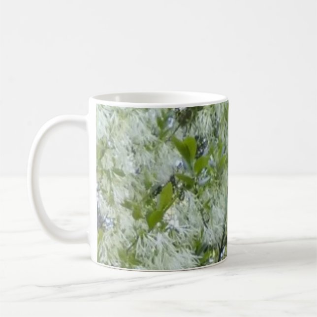 Grandaddy Graybeard-Baum-Tasse Kaffeetasse (Links)