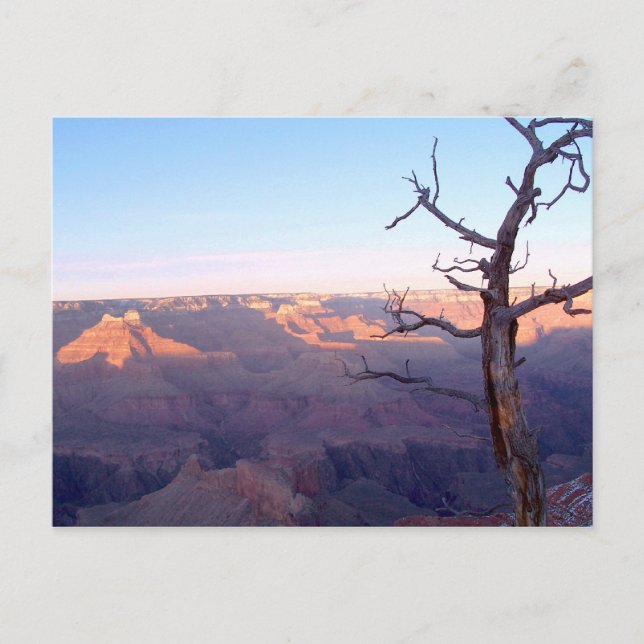 GrandCanyon-View#1 Postkarte (Vorderseite)