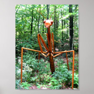 Grande affiche de mante de prière