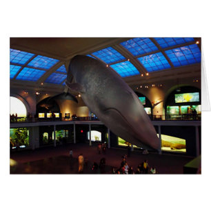 Grande baleine bleue