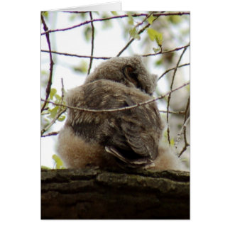 Grande carte à cornes