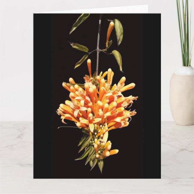 Grande carte de voeux à fleurs pliées (Devant)