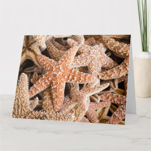Grande carte de voeux de sucre Starfish