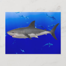 Grande carte postale de requin blanc