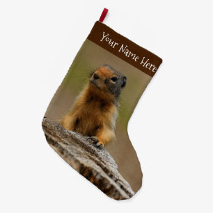 Grande Chaussette De Noël Amusant Cute Saucy Columbian Ground Squirrel