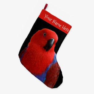 Grande Chaussette De Noël Belle "Dame en rouge" Eclectus Parrot