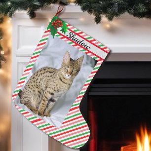 Grande Chaussette De Noël Cat Kitten Photo Cute Christmas Stocking Ajouter u