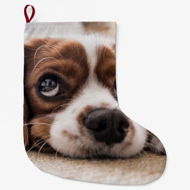Grande Chaussette De Noël Chien Espagnol Coqueur Triste (Devant)
