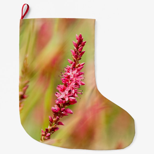 Grande Chaussette De Noël coloris (Devant)