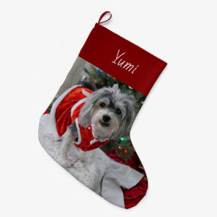 Grande Chaussette De Noël Cute Havanais