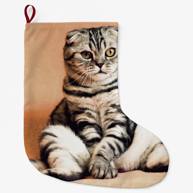 Grande Chaussette De Noël Cute Kitten S'Est Étendu (Devant)