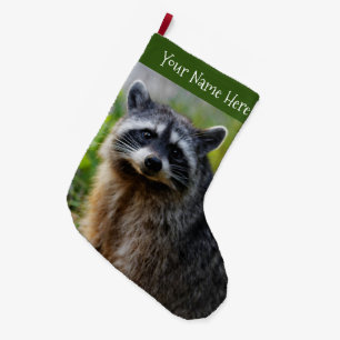 Grande Chaussette De Noël Face à face avec un raton laveur nord-américain