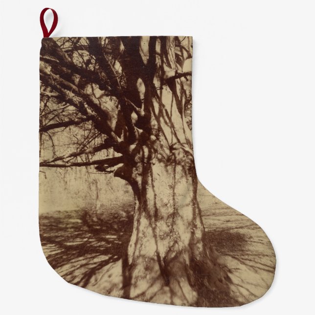 Grande Chaussette De Noël Hêtre (par Eugène Atget) (Devant)