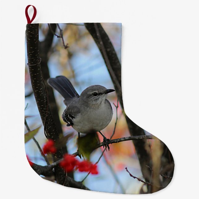 Grande Chaussette De Noël Moqueur du nord (Devant)