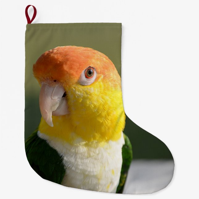 Grande Chaussette De Noël Perroquet de caïque gonflé par blanc (Devant)
