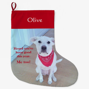 Grande Chaussette De Noël Photo d'un chien mignon avec un bâton amusant hors