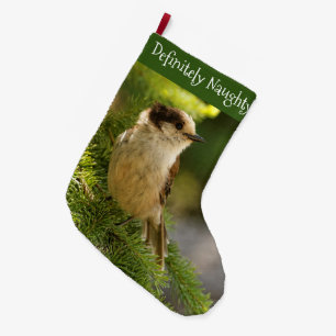 Grande Chaussette De Noël Profil d'un joli Jay gris / Songjack à whisky