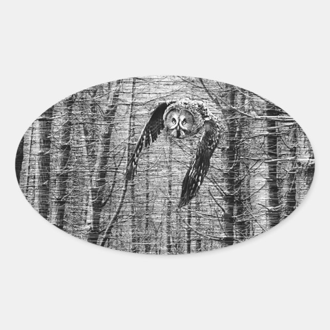 Grande Chouette gris en autocollants noir et blanc (Devant)