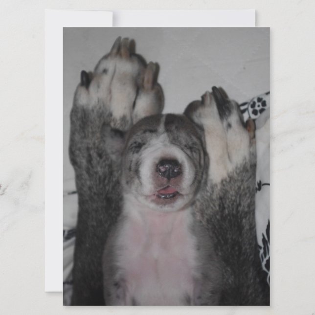 Grande Dane Invitation Anniversaire (Dos)