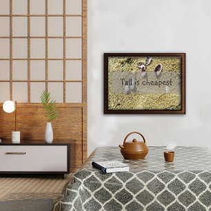 Grande est la sagesse la moins chère dire affiche