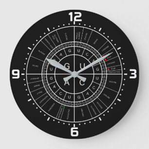 Grande Horloge Ronde ADN messagère à la ROUE de CODON d'ACIDE AMINÉ